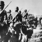 livro sobre 2º Guerra Mundial