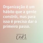 livro sobre organização