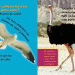 livro sobre aves