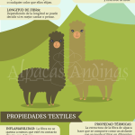 livro sobre alpaca