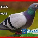 livro de Genética