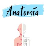 livro de Anatomia